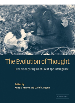 The Evolution of Thought