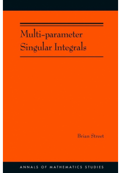 Multi-parameter Singular Integrals. (AM-189), Volume I