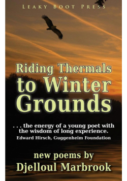 Riding Thermals to Winter Grounds