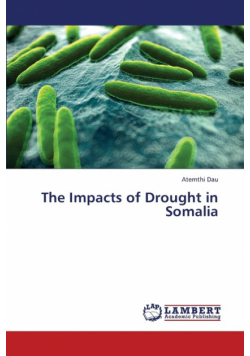 The Impacts of Drought in Somalia