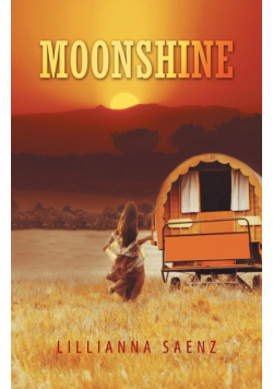 Moonshine