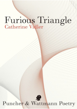 Furious Triangle