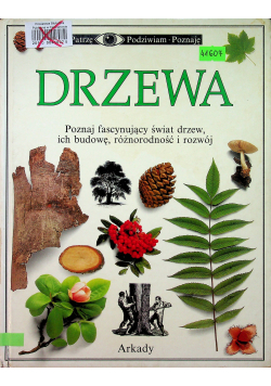 Drzewa
