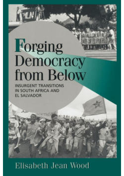 Forging Democracy from Below