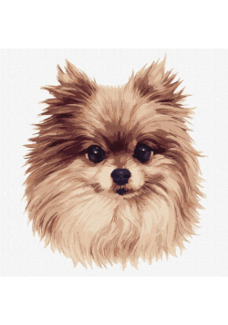 Malowanie po numerach - Puszyste dzikie 30x30cm
