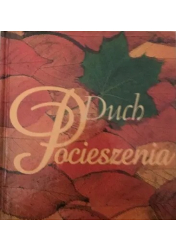 Duch pocieszenia
