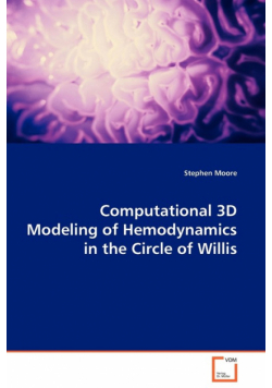 Computational 3D Modeling of Hemodynamics in the Circle of Willis