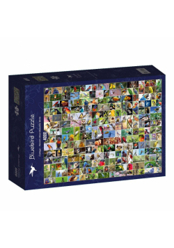 Puzzle 4000 Najpiękniejsze ptaki świata