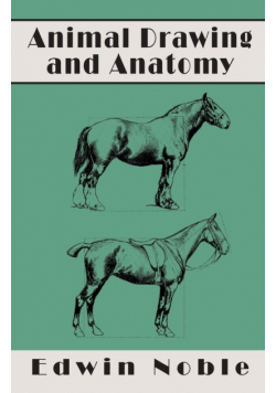 Animal Drawing and Anatomy