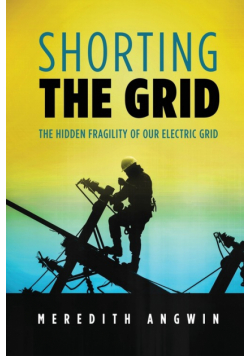 Shorting the Grid