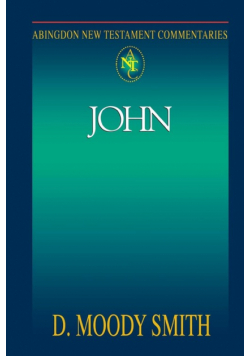 Abingdon New Testament Commentary - John