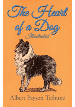 The Heart of a Dog - Illustrated
