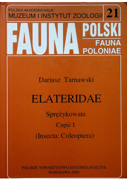 Elateridae część I