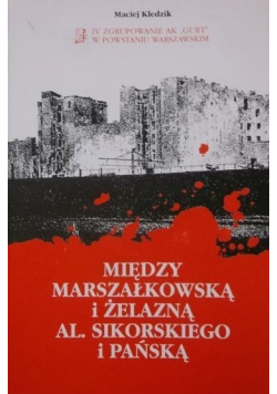 Między Marszałkowską i Żelazną Al Sikorskiego i Pańską