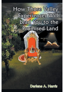 How Those Valley Experiences Will Lead You to the Promised Land