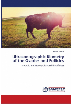 Ultrasonographic Biometry of the Ovaries and Follicles