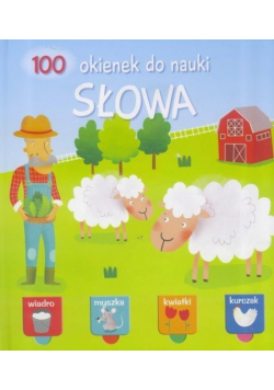 100 okienek do nauki. Słowa