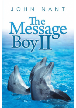 The Message Boy II