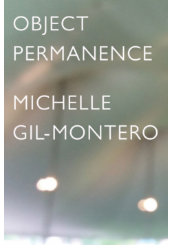 Object Permanence