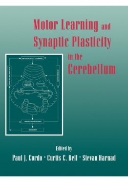 Motor Learning and Synaptic Plasticity in the Cerebellum