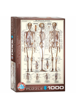 Puzzle 1000 Układ szkieletowy człowieka