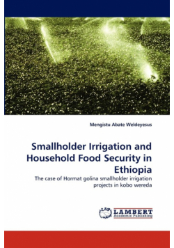 Smallholder Irrigation and Household Food Security in Ethiopia