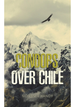 Condors Over Chile