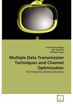 Multiple Data Transmission Techniques and Channel Optimization