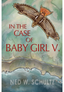 In the Case of Baby Girl V.
