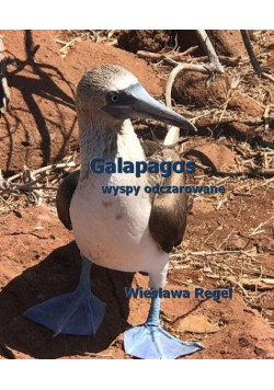 Galapagos - wyspy odczarowane