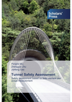 Tunnel Safety Assessment