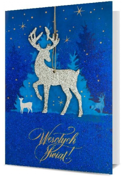 Karnet Boże Narodzenie K. GIFT-218