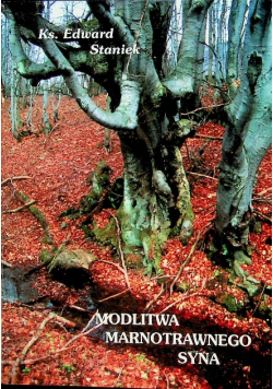 Modlitwa marnotrawnego syna