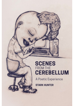 Scenes from the Cerebellum