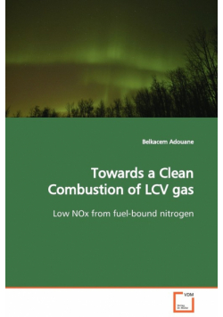 Towards a Clean Combustion of LCV gas