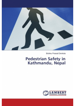 Pedestrian Safety in Kathmandu, Nepal