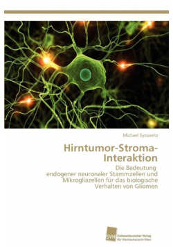 Hirntumor-Stroma-Interaktion