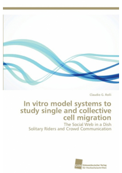 In vitro model systems to study single and collective cell migration