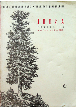 Jodła pospolita Abies alba Mill
