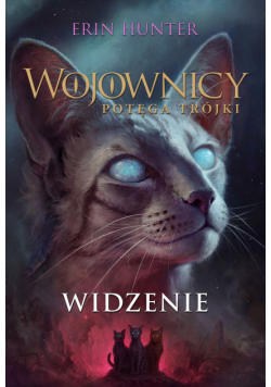 Wojownicy (Tom 13). Widzenie