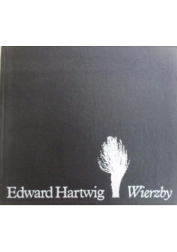 Wierzby