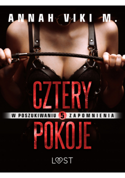 W poszukiwaniu zapomnienia 5: Cztery pokoje – opowiadanie erotyczne