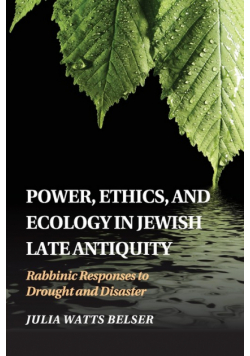 Power, Ethics, and Ecology in Jewish Late Antiquity