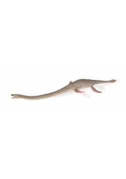Elasmozaur