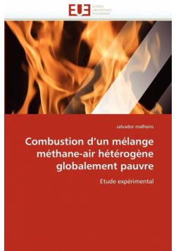 Combustion d''un mélange méthane-air hétérogène globalement pauvre