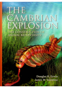 The Cambrian Explosion