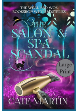 The Salon & Spa Scandal