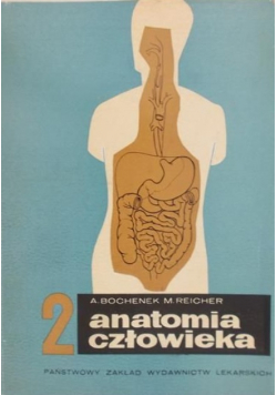 Anatomia człowieka 2
