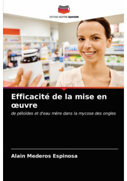Efficacité de la mise en œuvre