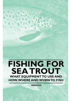 Fishing for Sea Trout - What Equipment to Use and How, Where and When to Fish